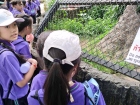 โครงการศึกษานอกสถานที่ “ป.4 : ท่องแดนมหัศจรรย์ในเขาเขียว” Image 31